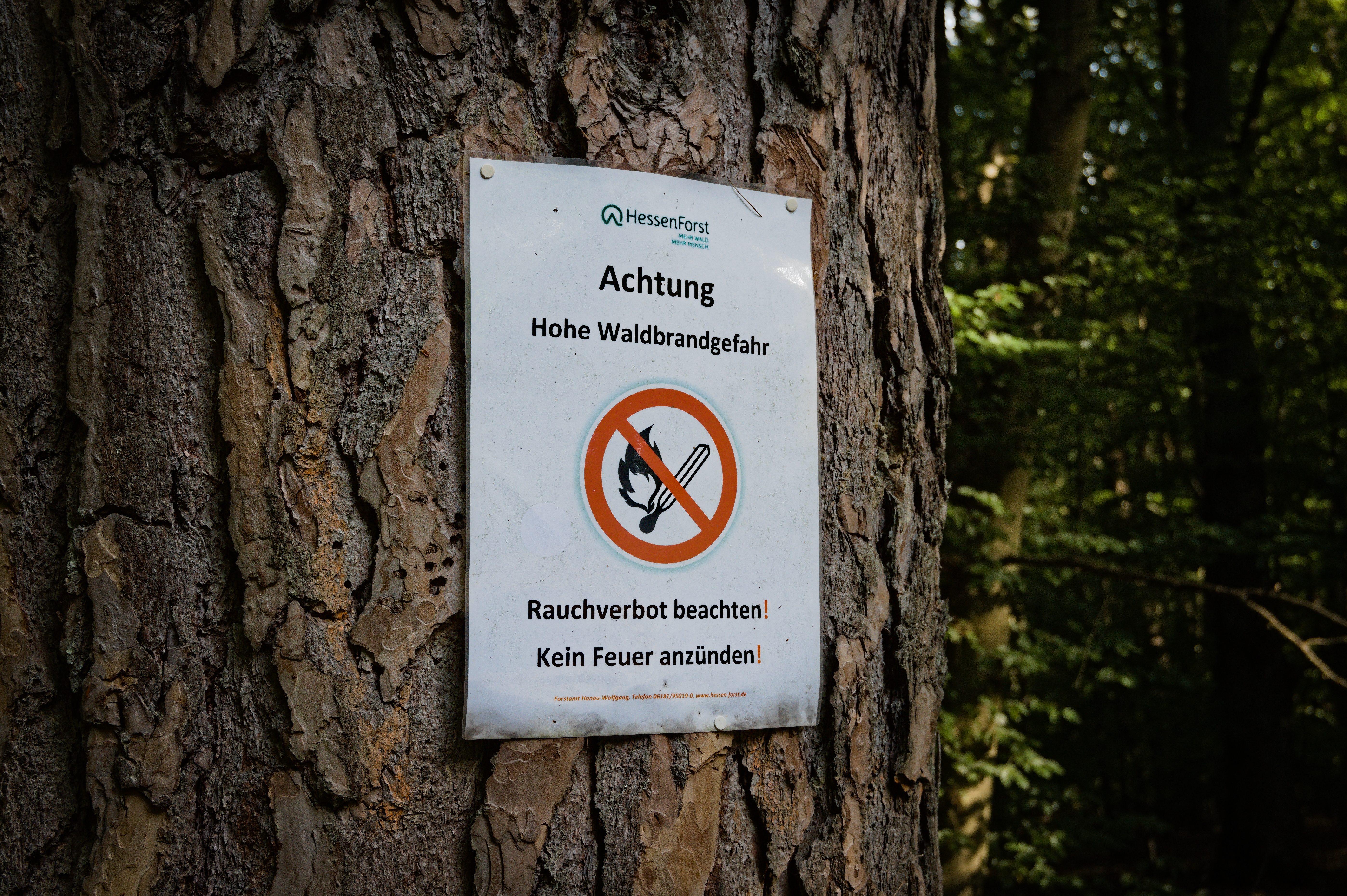 20260428_Waldbrandgefahr