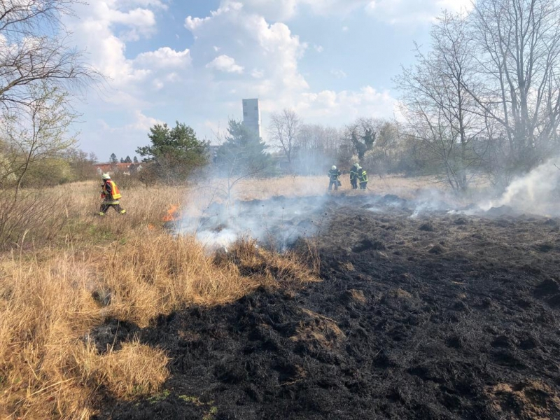 Grasflächenbrand