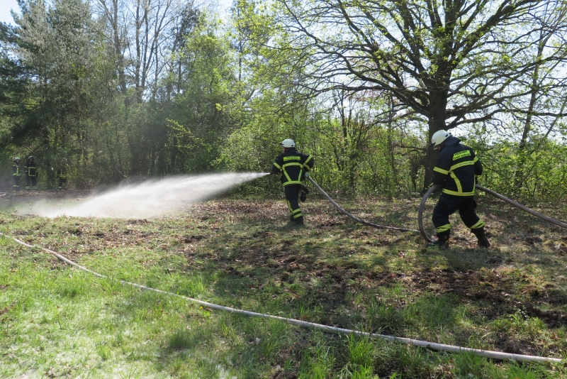 Brennt Wald und Wiesenfläche im Naherholungsgebiet