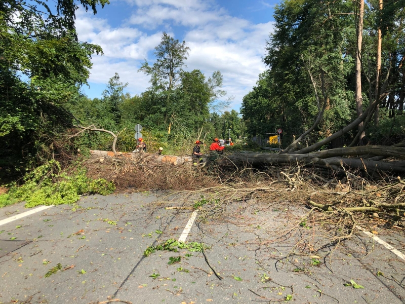 Überörtliche Hilfe nach Unwetter