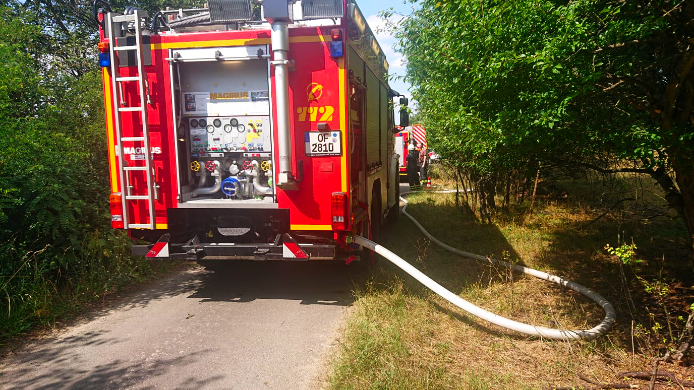 Grasflächenbrand Steinheimer Wald 