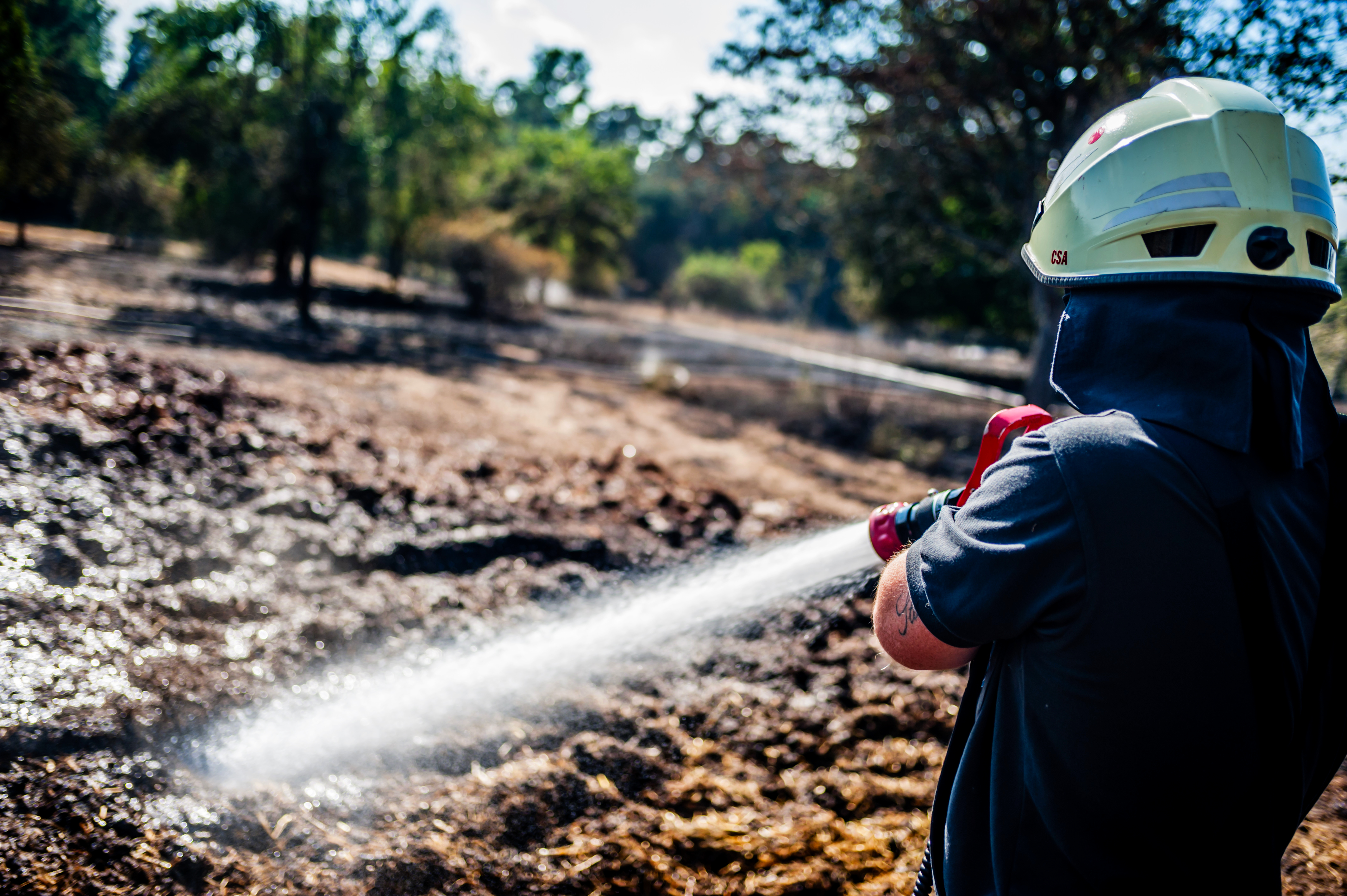 Flächenbrand