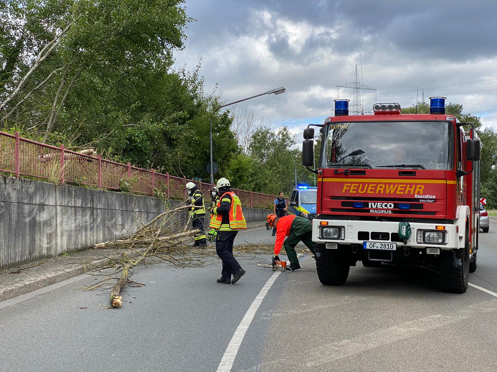 Baum auf Straße 