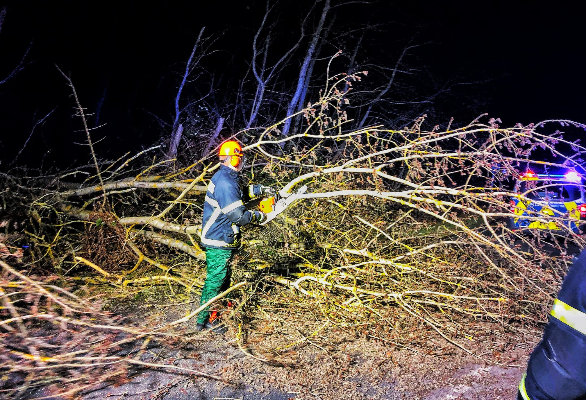 Baum auf Straße 