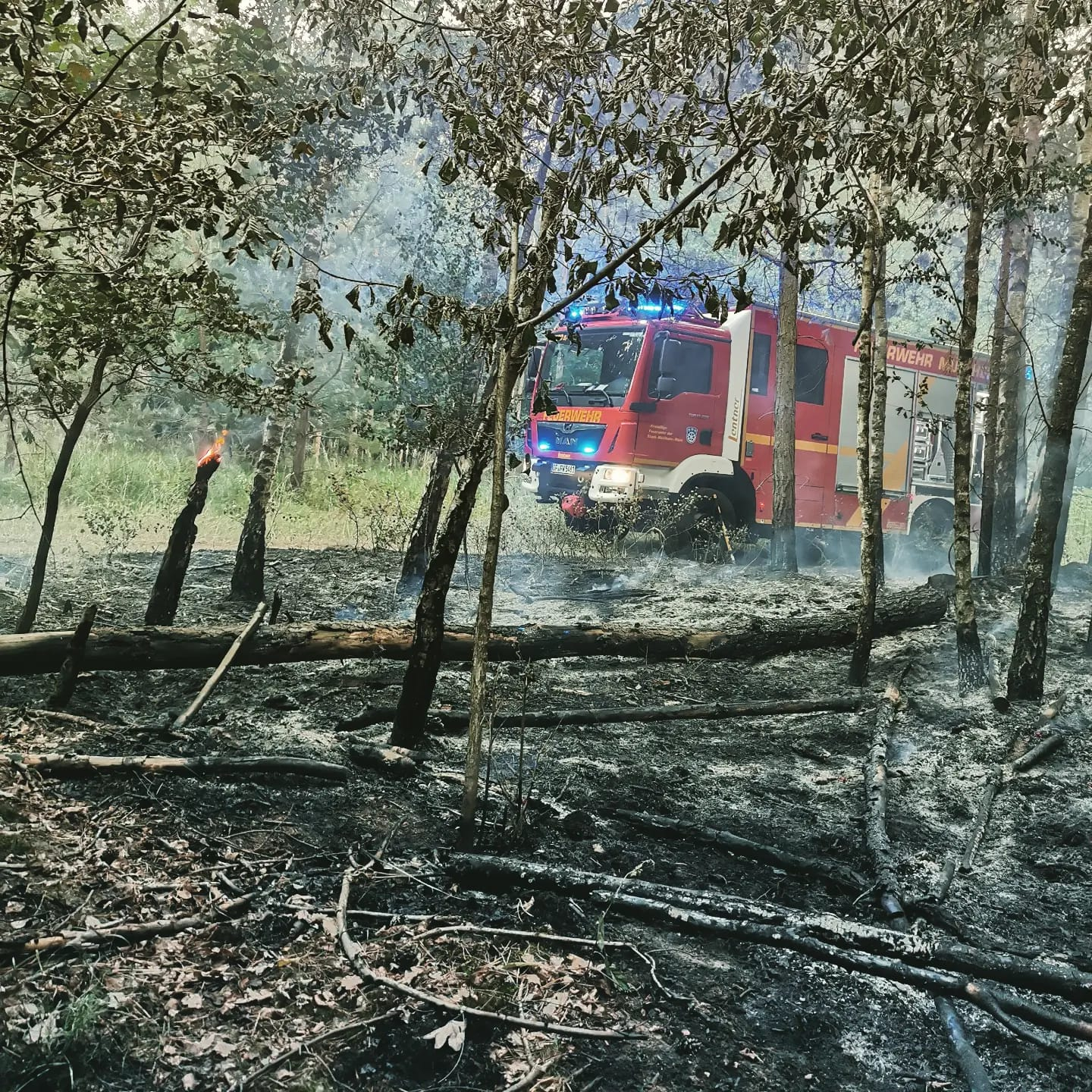 Ausgedehnter Waldbrand