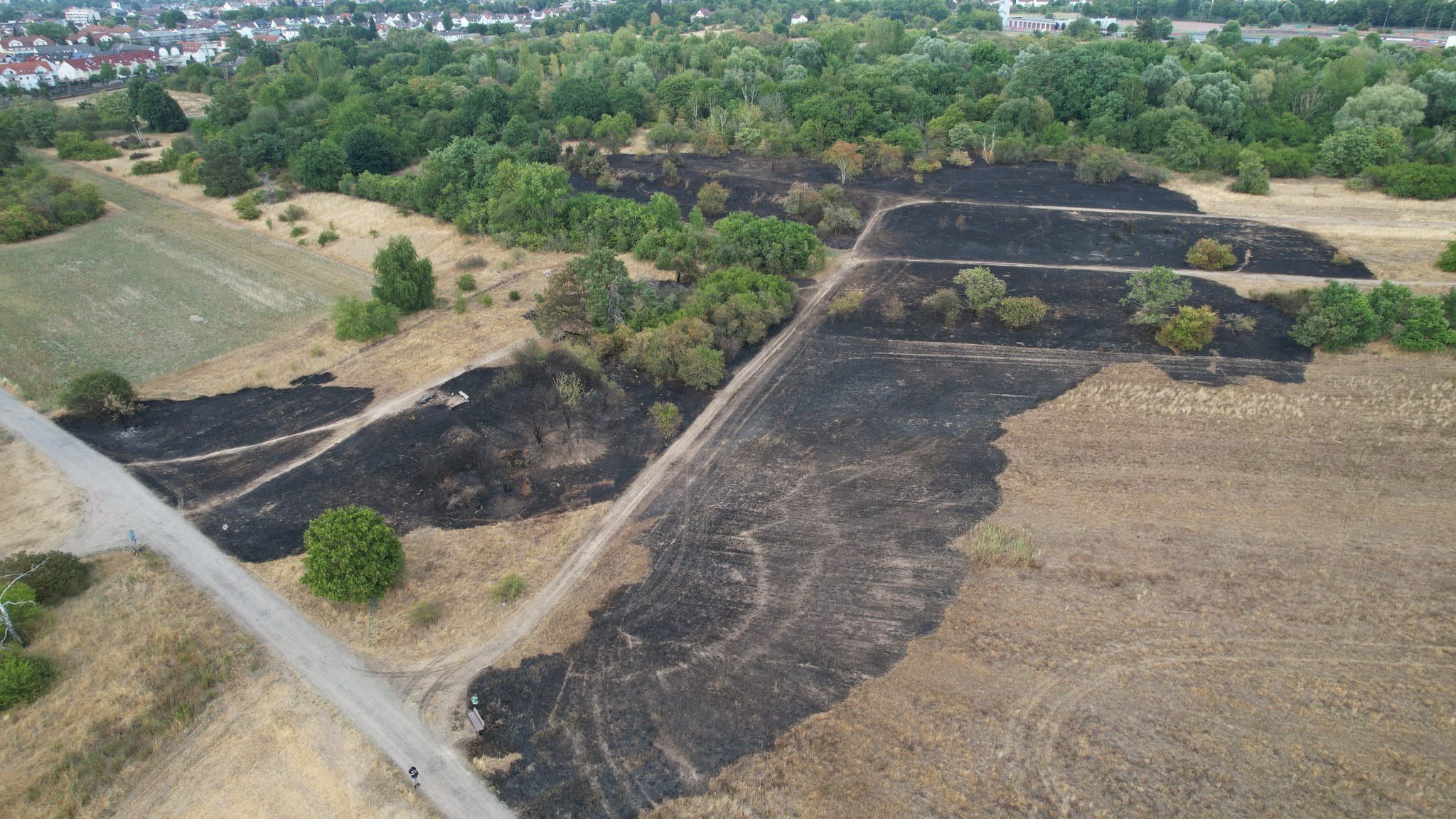 Ausgedehnter Vegetationsbrand