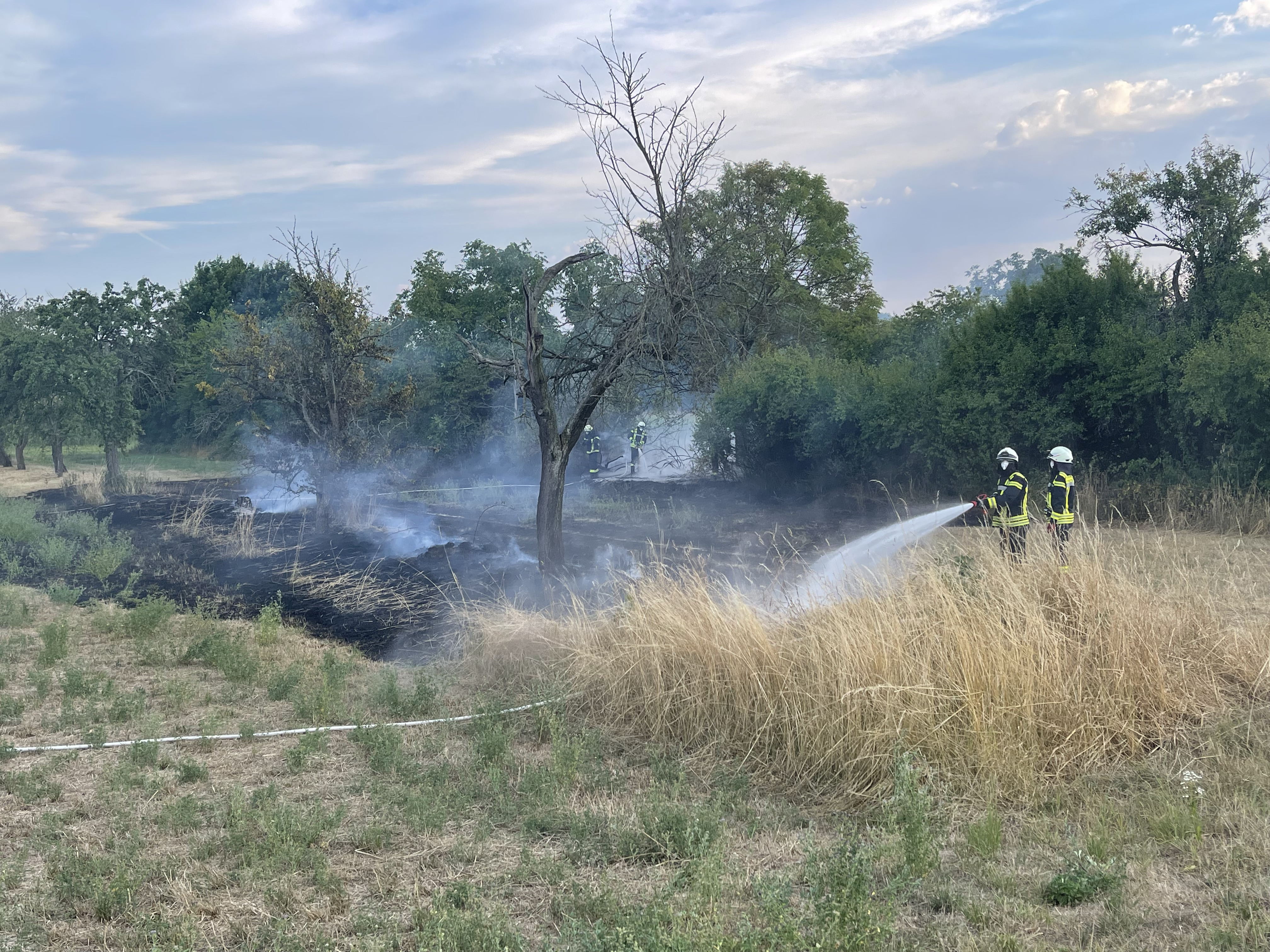 Grasflächenbrand