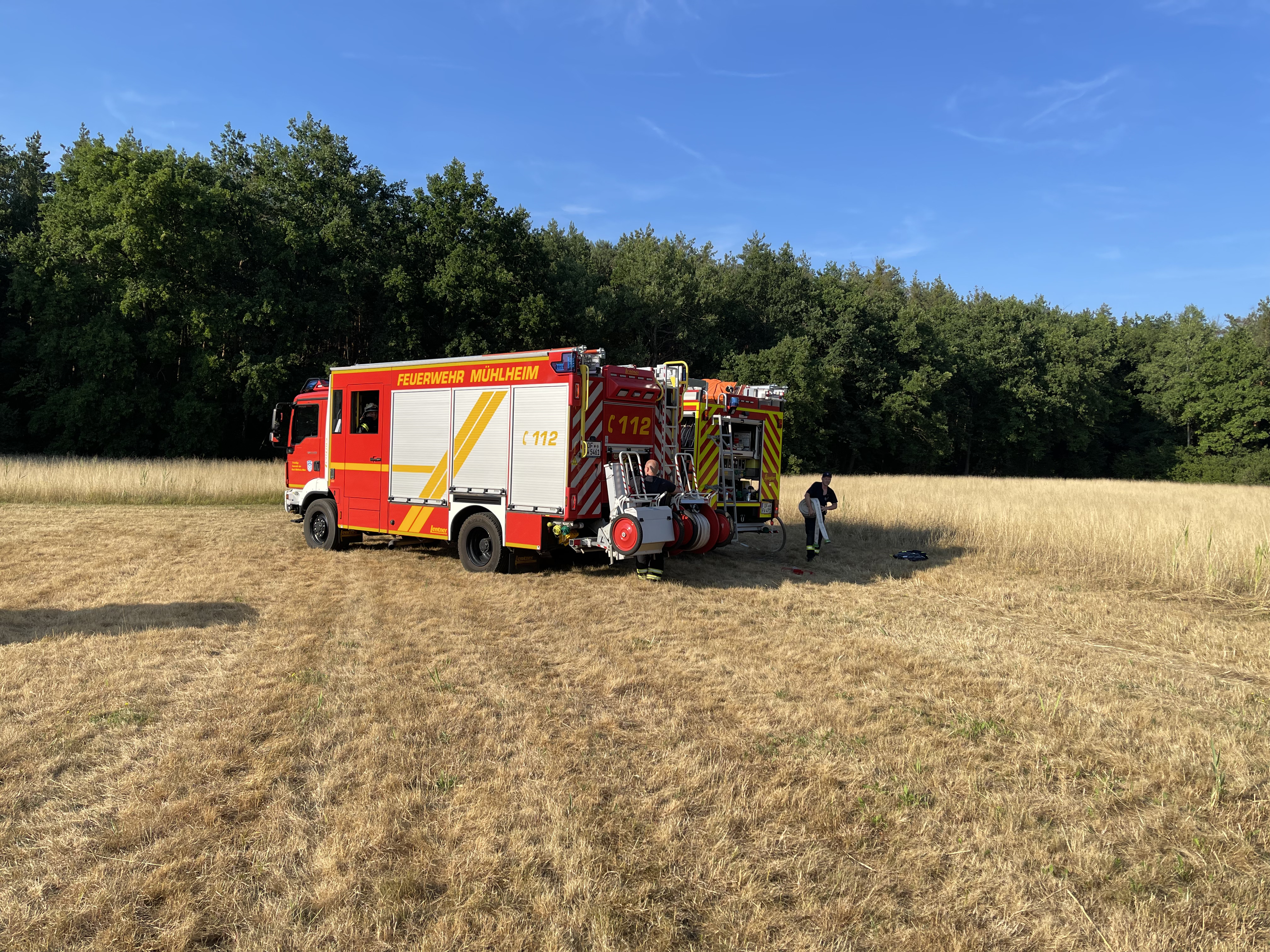 Grasflächenbrand