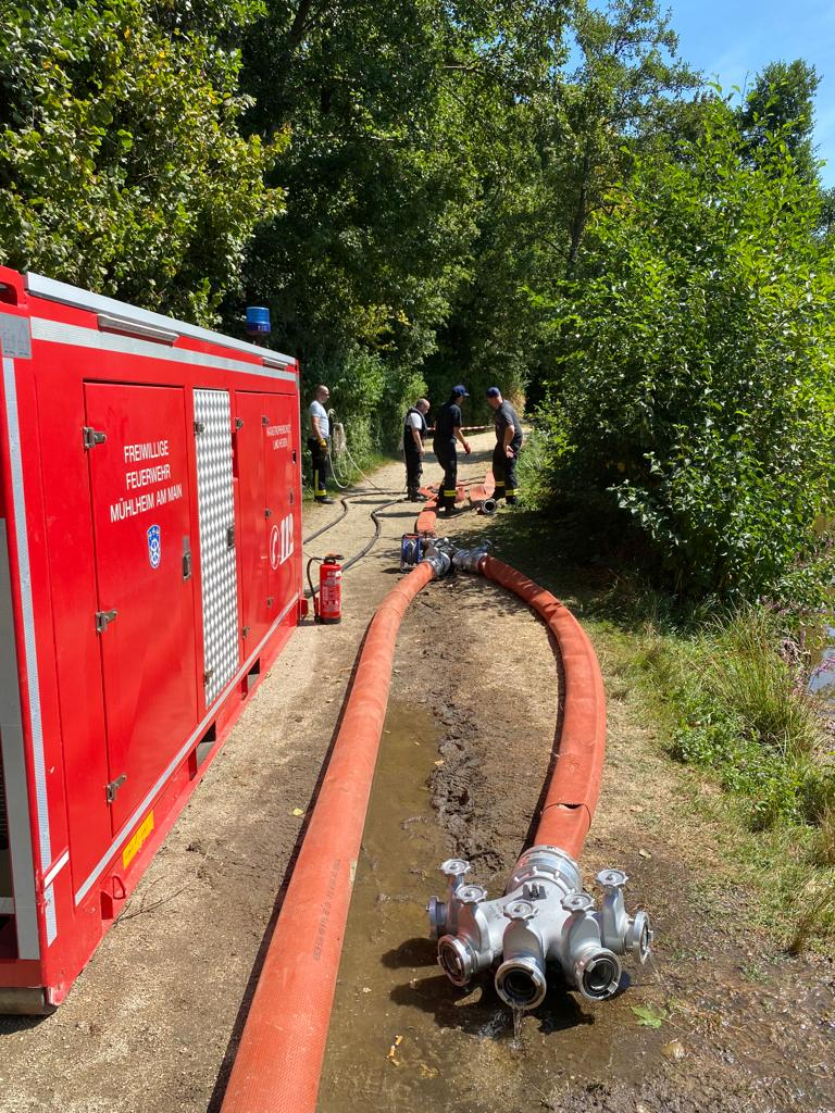 Anforderung Hytrans-Fire-System zu ausgedehntem Waldbrand