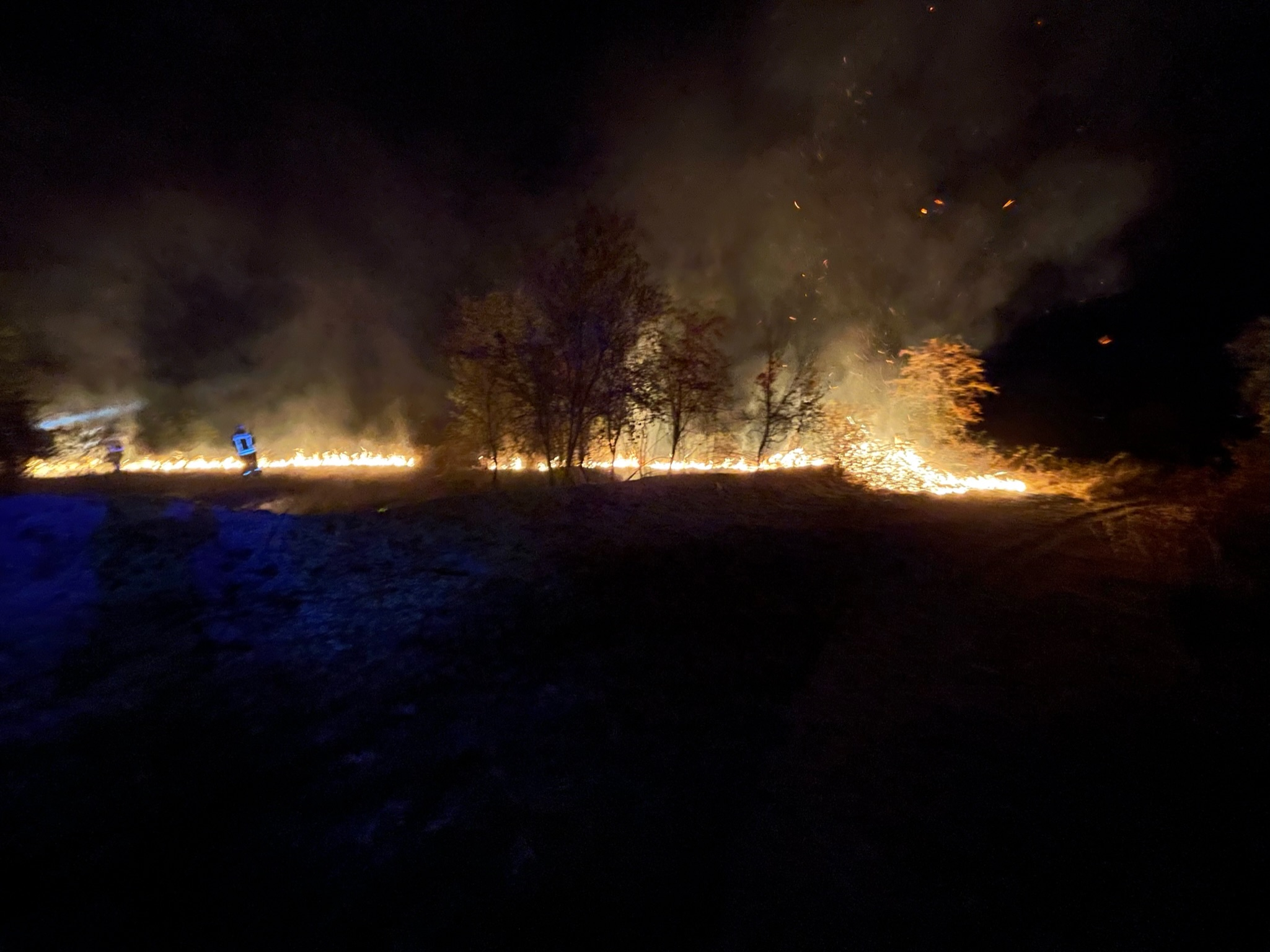 Grasflächenbrand