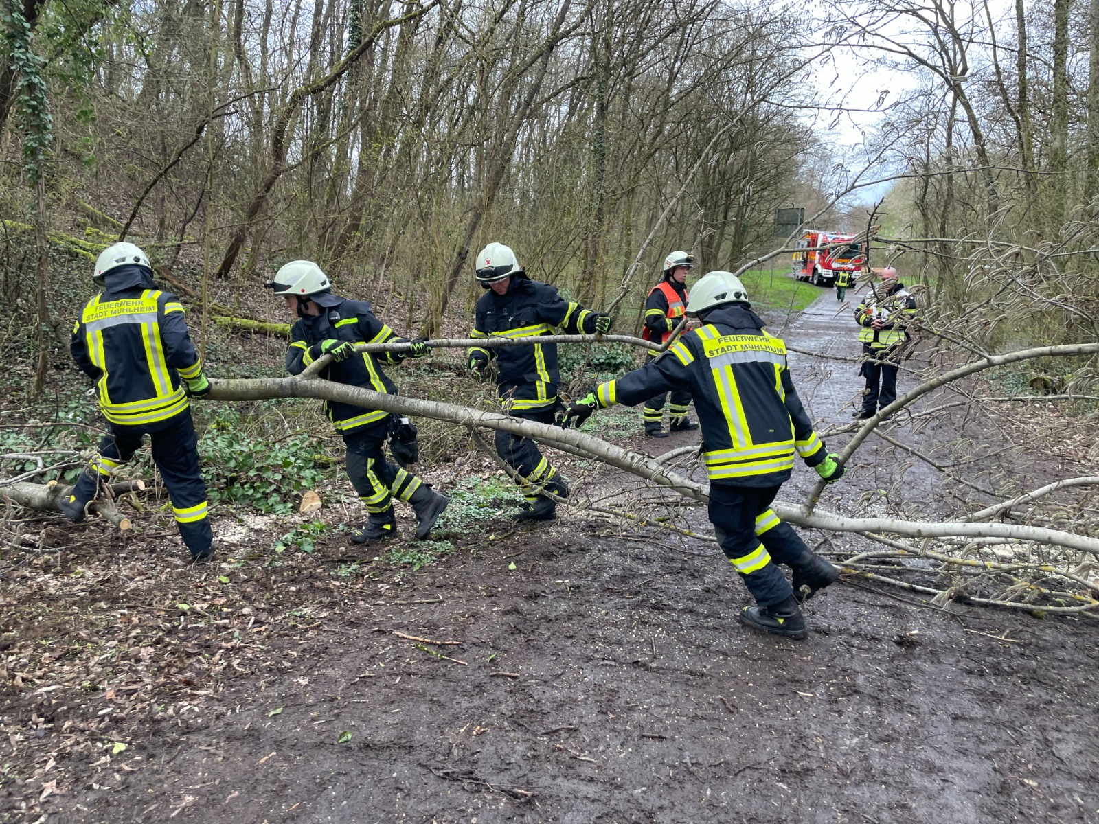 Baum droht auf Straße zu stürzen 