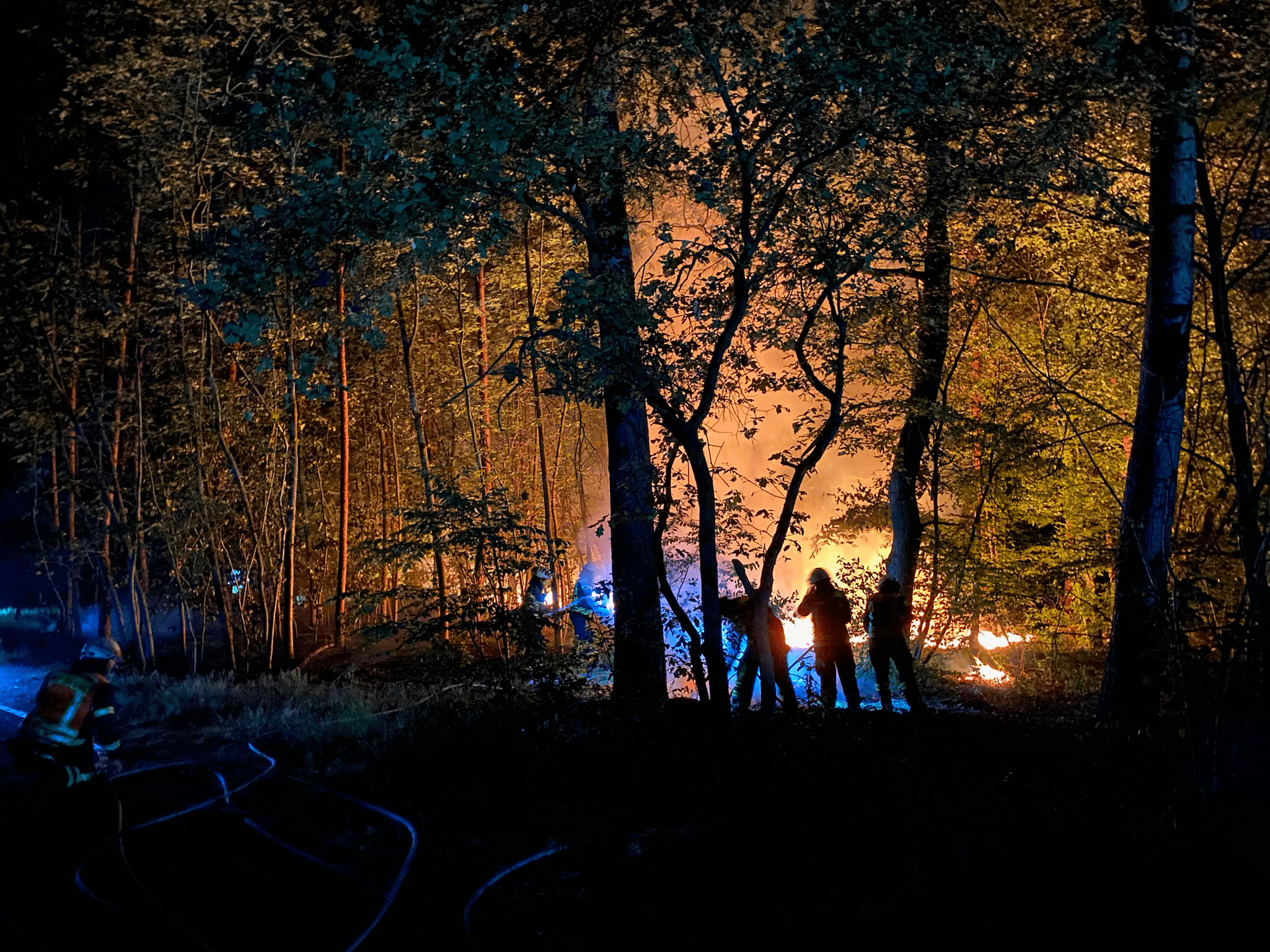 Flammenschein im Wald