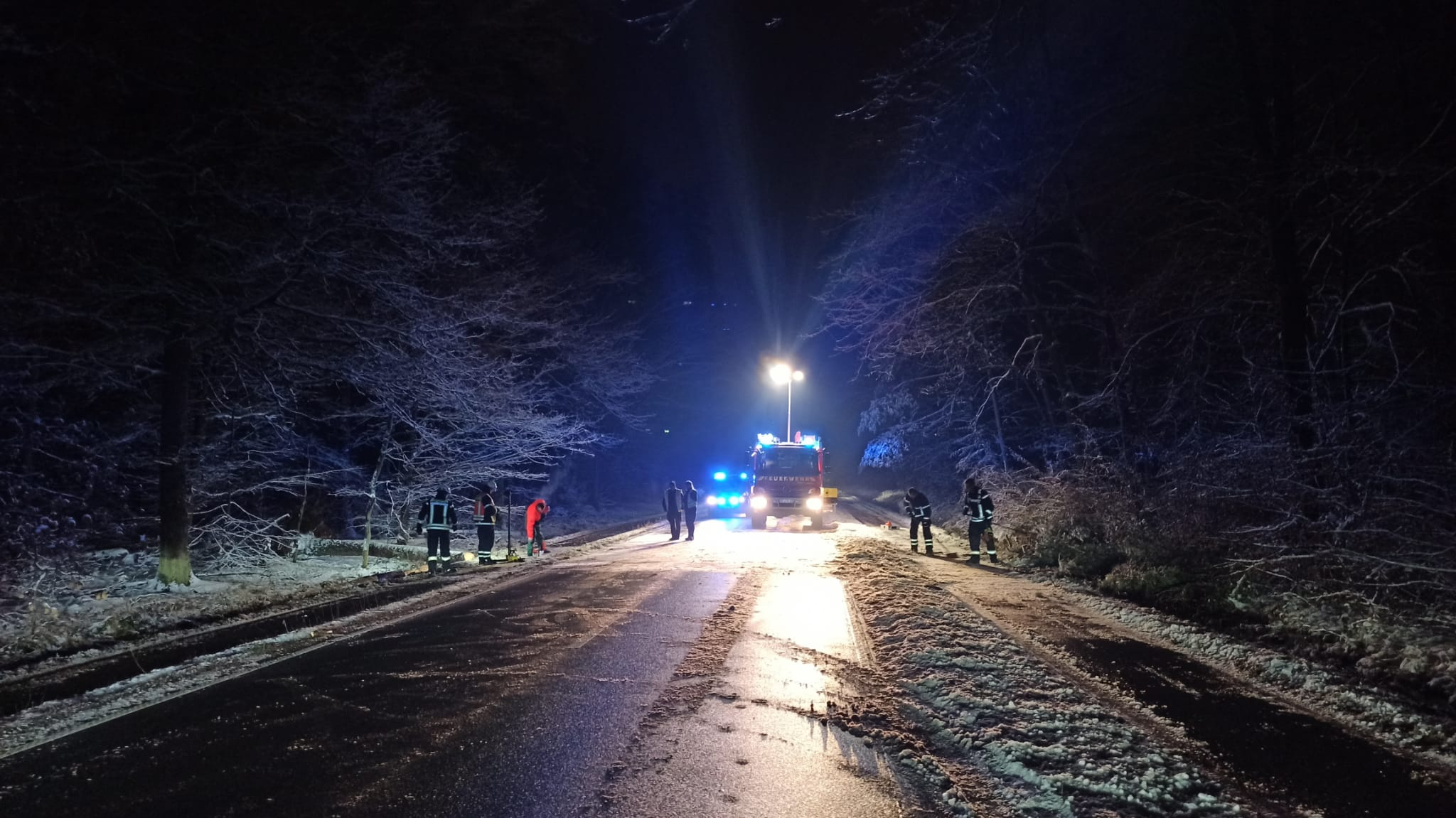 Baum auf Straße